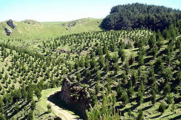 452118166_122109375674389142_8602597711271871211_n Carbon Review 01/03/2026